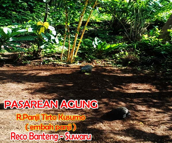 RADEN PANJI TIRTOKUSUMO